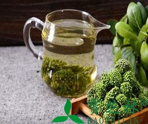 三七花泡水的功效与作用