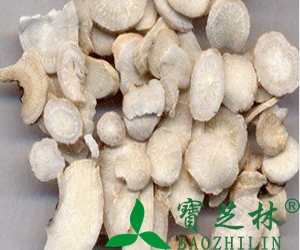 中药白芍的功效与作用 白芍的食用禁忌