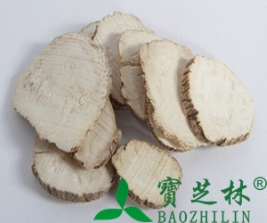 白芷图片 白芷的功效与作用