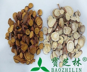 生甘草和炙甘草的功效和区别
