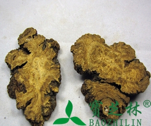 中药酒川芎的功效与作用