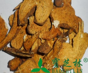 炒白术的功效与作用