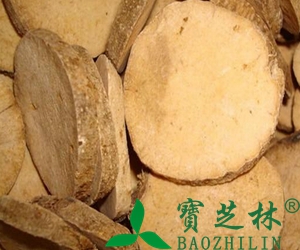 中药盐泽泻的功效与作用