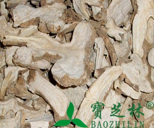 中药白术的功效与作用