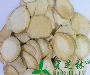 中药泽泻的功效与药用价值
