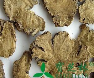 川芎的功效与作用图片