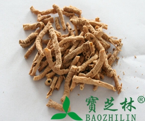 远志筒的功效与作用