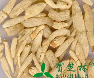 麦冬功效与作用 麦冬图片