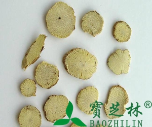 木通图片 中药木通的功效与作用