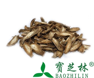 牛蒡子图片 牛蒡子的功效与作用