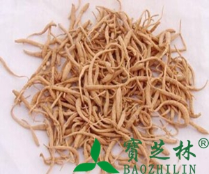太子参的功效与吃法