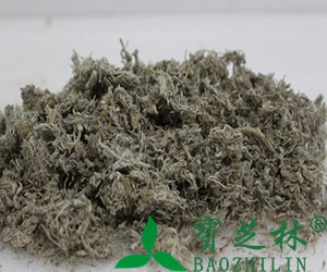 中药茵陈泡水喝的作用