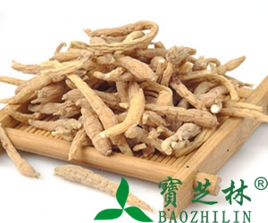 太子参图片 太子参的功效与作用