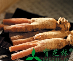 高丽参的功效与吃法