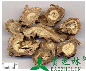 独活的功效和作用