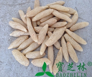 东阿阿胶放久了会变质吗