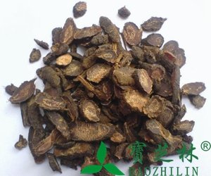 干红葡萄酒保质期