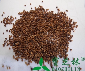 自酿葡萄酒保质期多少天