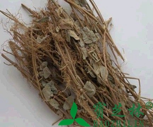 芝麻酱的保质期是多久