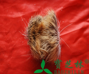葡萄酒有保质期吗 葡萄酒是多长时间