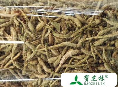 金银花的营养价值 食用金银花能延年益寿