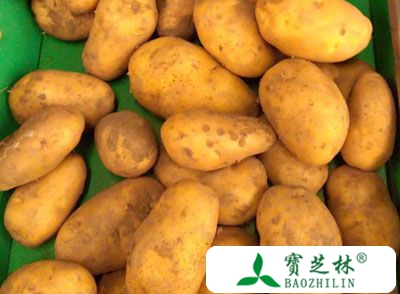 土豆营养价值高 和蜂蜜搭配吃能治胃溃疡