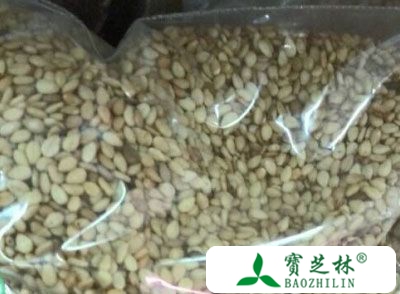 白芝麻的营养价值 多吃白芝麻能护肤