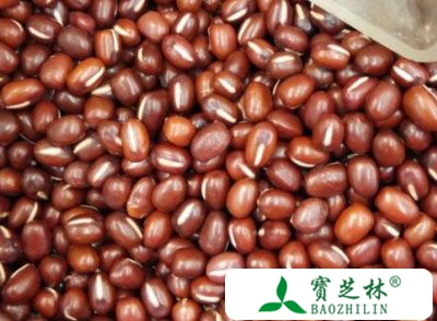 红豆的营养价值 女性多吃红豆能护肤