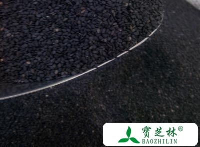 芝麻的营养价值 常吃芝麻能延年益寿