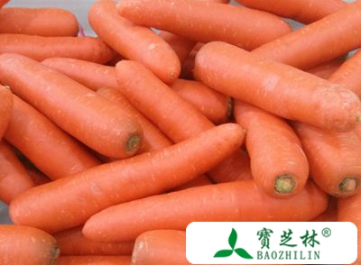 胡萝卜的营养价值 吃胡萝卜能抗癌