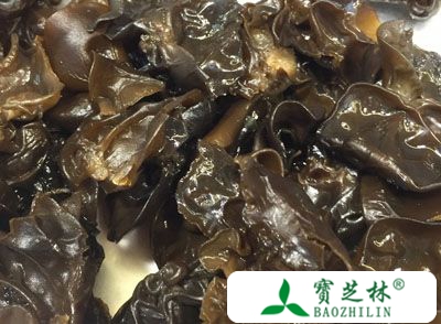 黑木耳的营养价值 吃黑木耳身体健康