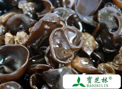 黑木耳的营养价值 吃黑木耳能延年益寿