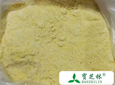 玉米面的营养价值 吃玉米面能补钙还能抗癌