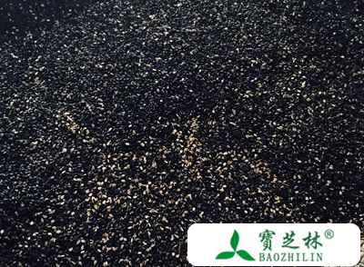 芝麻的营养价值 常吃芝麻能抗衰老