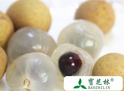 龙眼的功效和作用 它有这些营养价值