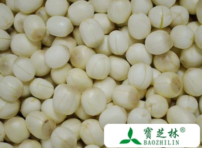 莲子的营养价值
