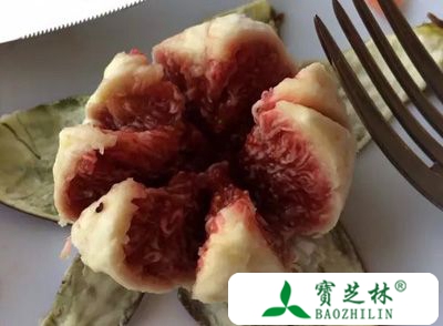 无花果的药用价值 秋季吃这物竟能治病