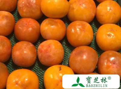 柿子的营养价值 吃柿子能预防心血管硬化