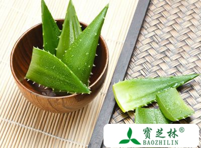 芦荟的营养价值与作用