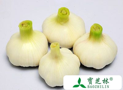 大蒜的功效与作用 秋季吃蒜竟有这神效