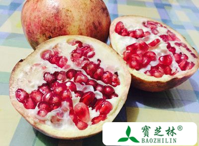 石榴的营养价值 吃石榴帮助消化还抗病毒