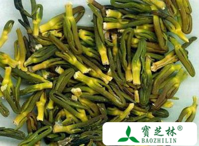 莲子心泡水喝的功效 莲子心泡水喝竟有这禁忌