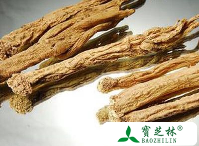 明党参的营养与价值