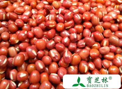 红豆的营养价值 吃红豆能消暑解毒还健胃
