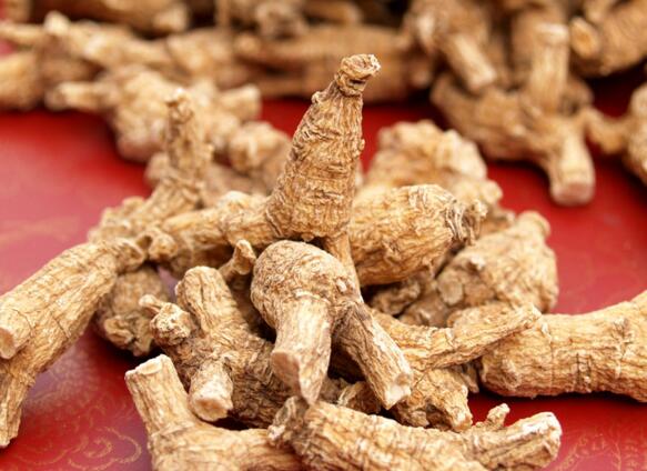 西洋参有什么功效与作用及食用方法 西洋参怎么吃