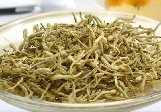 金银花的功效与作用 增强体质的佳植物