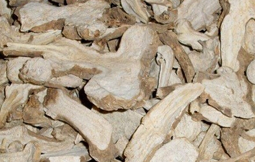 探索白术的作用与功效白术有哪些药用