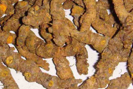中药黄连素的功效与作用 黄连素有哪些副作用
