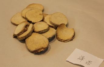中药泽泻的作用有什么 中药泽泻的配伍应用