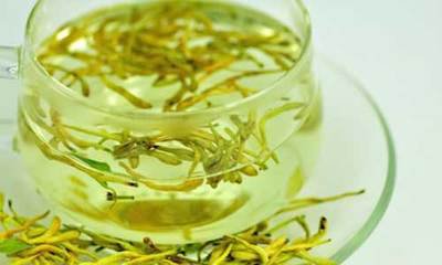 金银花的功效与作用及食用方法是什么 金银花茶越喝越美